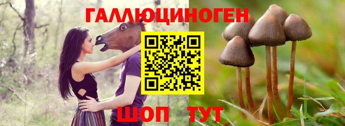 Галлюциногенные грибы MAGIC MUSHROOMS Красноперекопск