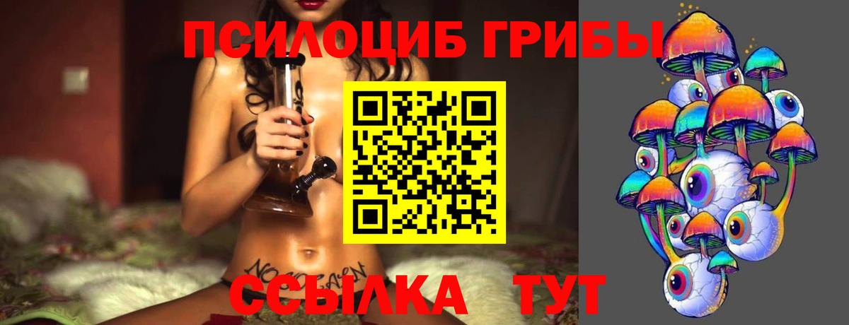 Красноперекопск  Галлюциногенные грибы мицелий  Псилоцибиновые грибы Psilocybe  Вход с VPN 